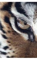 Tiger Eye Notebook