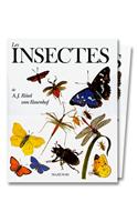 Insectes