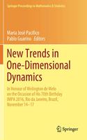 New Trends in One-Dimensional Dynamics