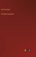 Skull and Brain