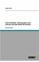 Intermedialität - Photographie und Literatur bei Rolf Dieter Brinkmann