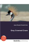 Grey Crowned Crane