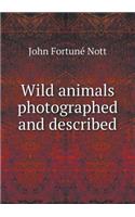 Wild Animals Photographed and Described