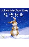 A Long Way from Home