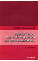 Stability Through Economic Cooperation in a Nuclear Environment