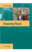 Flowering Plants