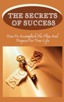 The Secrets Of Success: How To Accomplish The Plan And Purpose For Your Life: Techniques To Help You Succeed In Life