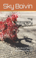 The Photography of Sky Boivin
