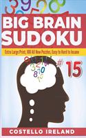 Big Brain Sudoku Extra Large Print, 100 All New Puzzles, Easy to Hard to Insane