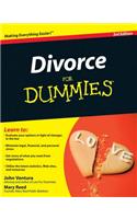 Divorce For Dummies