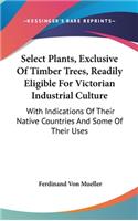 Select Plants, Exclusive Of Timber Trees, Readily Eligible For Victorian Industrial Culture: With Indications Of Their Native Countries And Some Of Their Uses