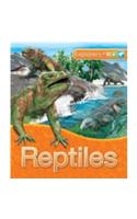 Explorers: Reptiles: (Explorers)