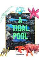 A Tidal Pool: (Small Worlds)