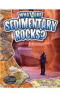 What are Sedimentary Rocks?