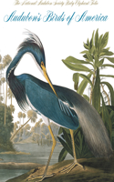 Audubon's Birds of America