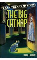 Big Catnap