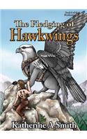 Fledging of Hawkwings