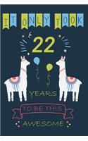 It Only Took 22 Year to be this Awesome