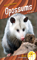 Opossums