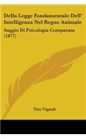 Della Legge Fondamentale Dell' Intelligenza Nel Regno Animale