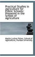 Practical Studies in Agriculture for Public Schools