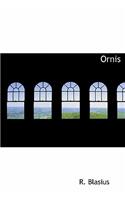 Ornis