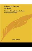 Briques Et Pavages Emailles