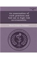 An Examination of Work Practices and Tool Use in High Risk Environments