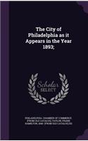 City of Philadelphia as it Appears in the Year 1893;