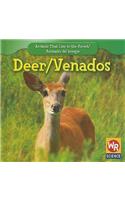 Deer / Venados