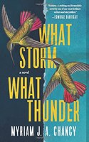 What Storm, What Thunder