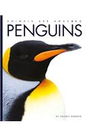 Penguins