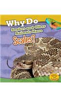 Why Do Snakes and Other Animals Have Scales?