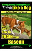 Basenji, Basenji Training AAA Akc