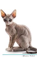 Devon Rex Affirmations Workbook Devon Rex Presents: Positive and Loving Affirmations Workbook. Includes: Mentoring Questions, Guidance, Supporting You.