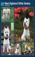 WEST HIGHLAND WHITE TERRIERS 365 DAYS W