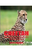 Cheetah: Amazing Photos & Interesting Facts Book about Cheetah