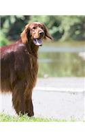 Irish Setter: Artified Pets Dog Journal/Notebook/Diary With Wraparound Image Cover(Artified Pets Irish Setter)