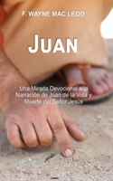 Juan: Una Mirada Devocional a la Narración de Juan de la Vida y Muerte del Señor Jesús(4 Los Comentarios Lumbrera a Mi Camino)