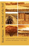 Growth of the Soil