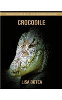 Crocodile: Amazing Pictures & Fun Facts on Animals in Nature