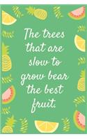 The trees that are slow to grow bear the best fruit.