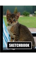 Sketchbook: Cat Cover Design - White Paper - 120 Blank Unlined Pages - 8.5" X 11" - Matte Finished Soft Cover