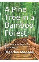A Pine Tree in a Bamboo Forest: Five Years in Japan & South Korea