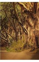 The Avenue of Trees Notebook