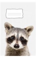 Raccoon Journal book 6x9 inch