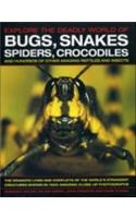 Explore The Deadly World Of Bugs, Snakes Spiders, Crocodiles
