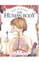 The Human Body