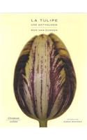 La Tulipe Une Anthologie: (Citad.C.D.Coeur)