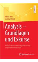 Analysis - Grundlagen Und Exkurse